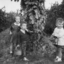 cartolina vecchia met anni 50 cartolina vecchia met anni 50